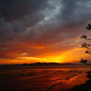 欧美videograti s
