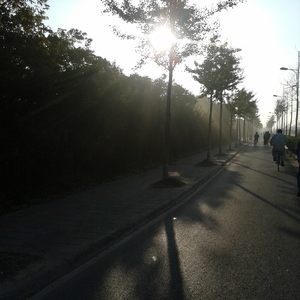 欧美videograti s
